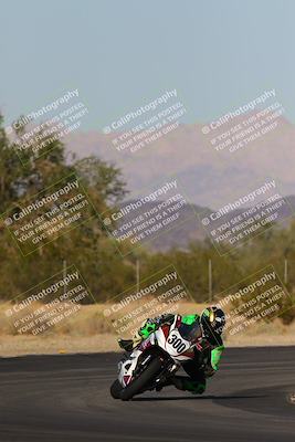 media/Nov-11-2023-SoCal Trackdays (Sat) [[efd63766ff]]/Turn 7 (2pm)/